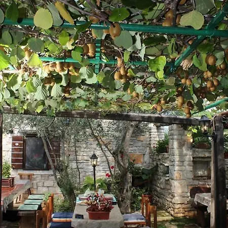 Guest house Rural Istra Partner