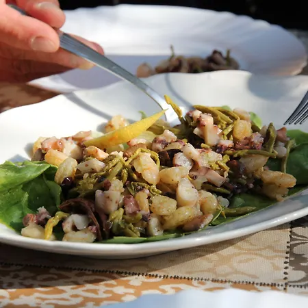 Maison d'hôtes Rural Istra Partner