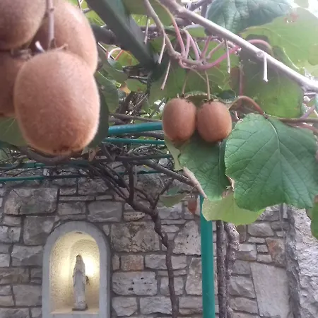 Rural Istra Partner 3* Barban